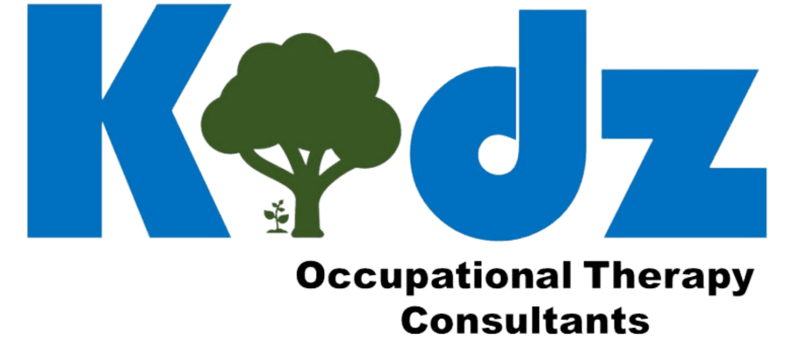 KidzOTC logo (horizontal)